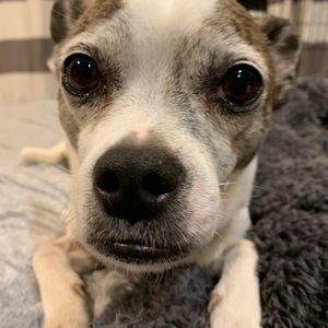 Meet your Posher, Atissa